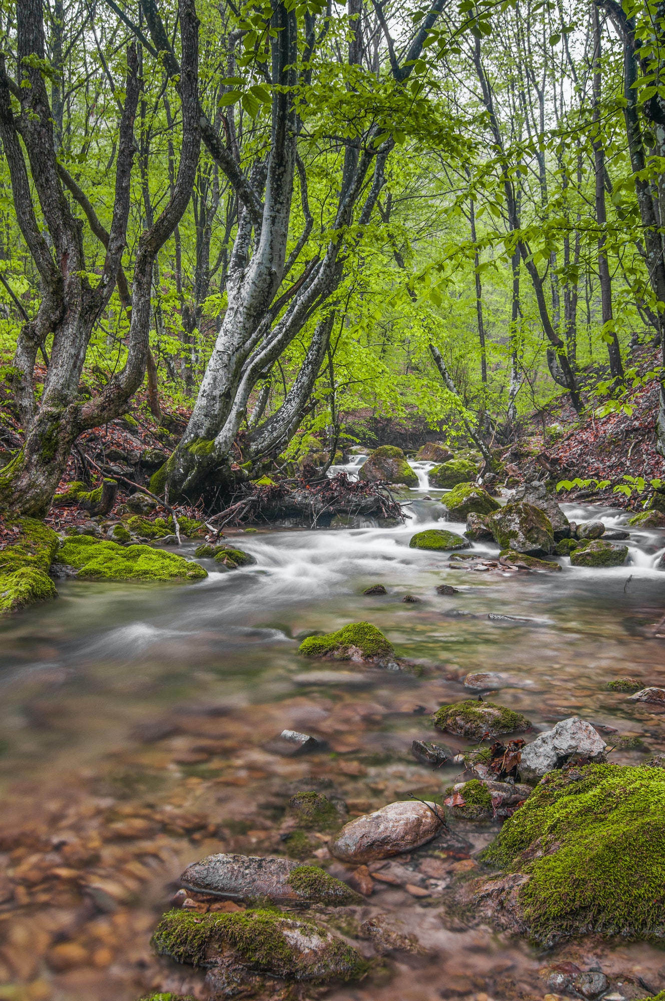 Tyresö 19 mountain waterfall covered in fog